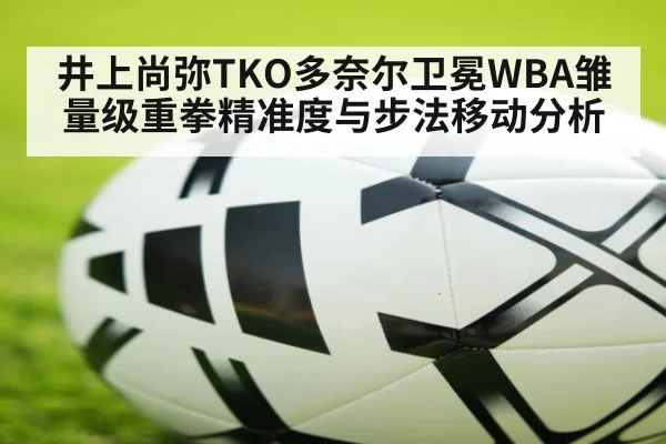 井上尚弥TKO多奈尔卫冕WBA雏量级重拳精准度与步法移动分析