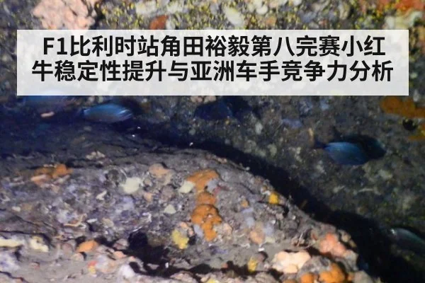 F1比利时站角田裕毅第八完赛小红牛稳定性提升与亚洲车手竞争力分析